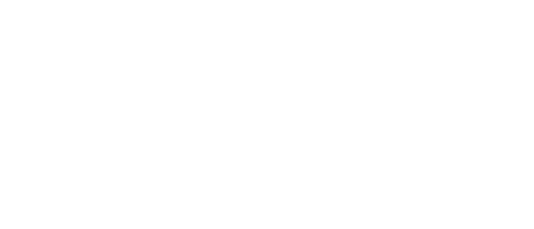 Logo in weiß von pg-wedding – Hochzeitsfotograf in Leonberg, Calw und Böblingen